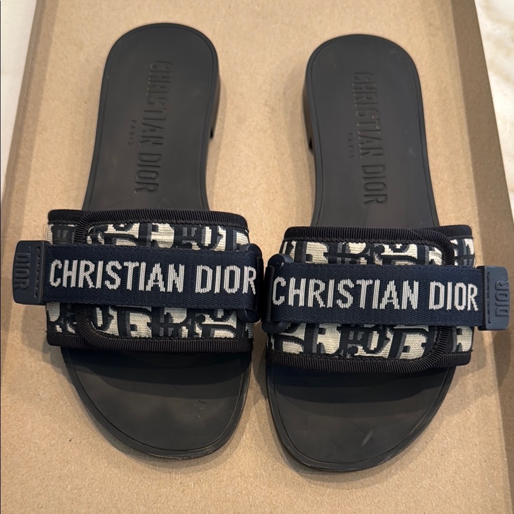 Dio(r)evolution Slides blue/white